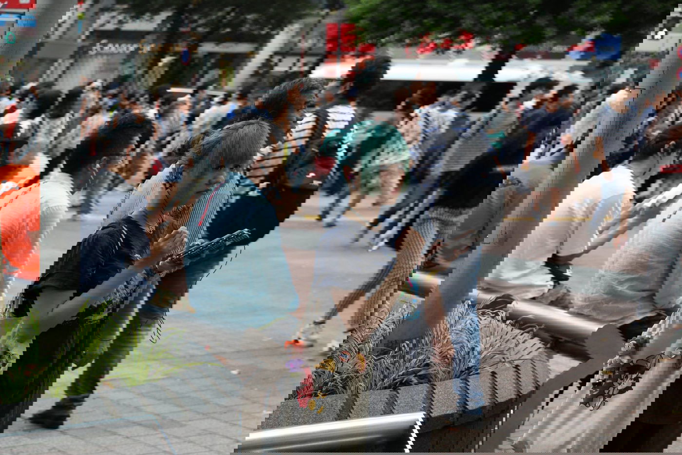 טיול מצולם ליפן המרהיבה: גלריה ענקית