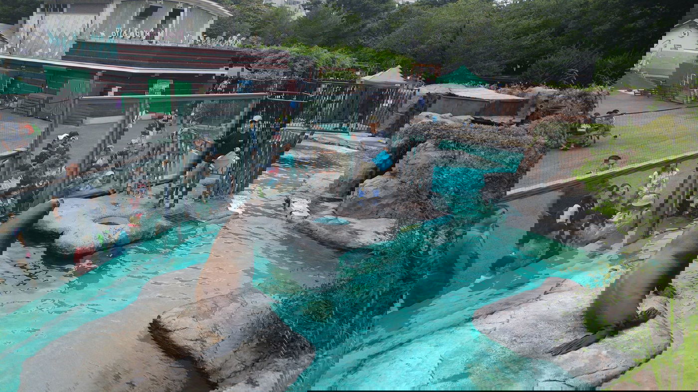 טיול מצולם ליפן המרהיבה: גלריה ענקית