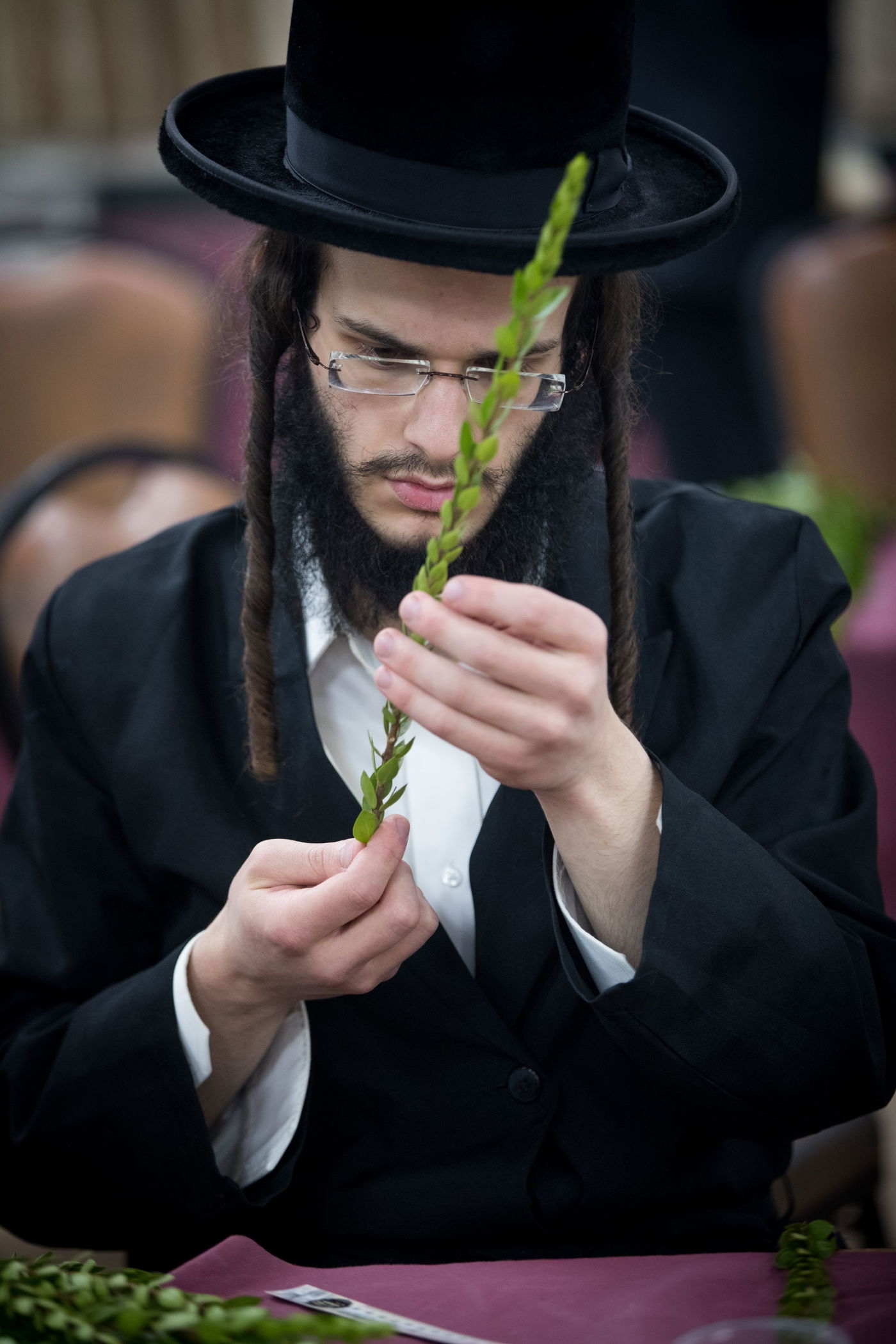 מאה שערים מתכוננת לחג הסוכות • גלריה