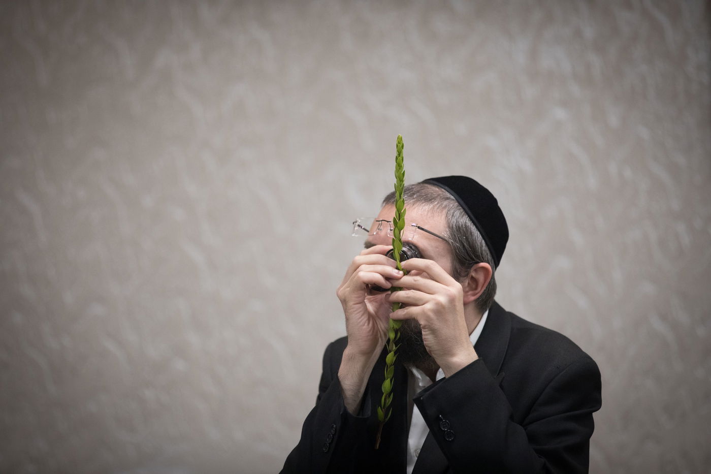 מאה שערים מתכוננת לחג הסוכות • גלריה