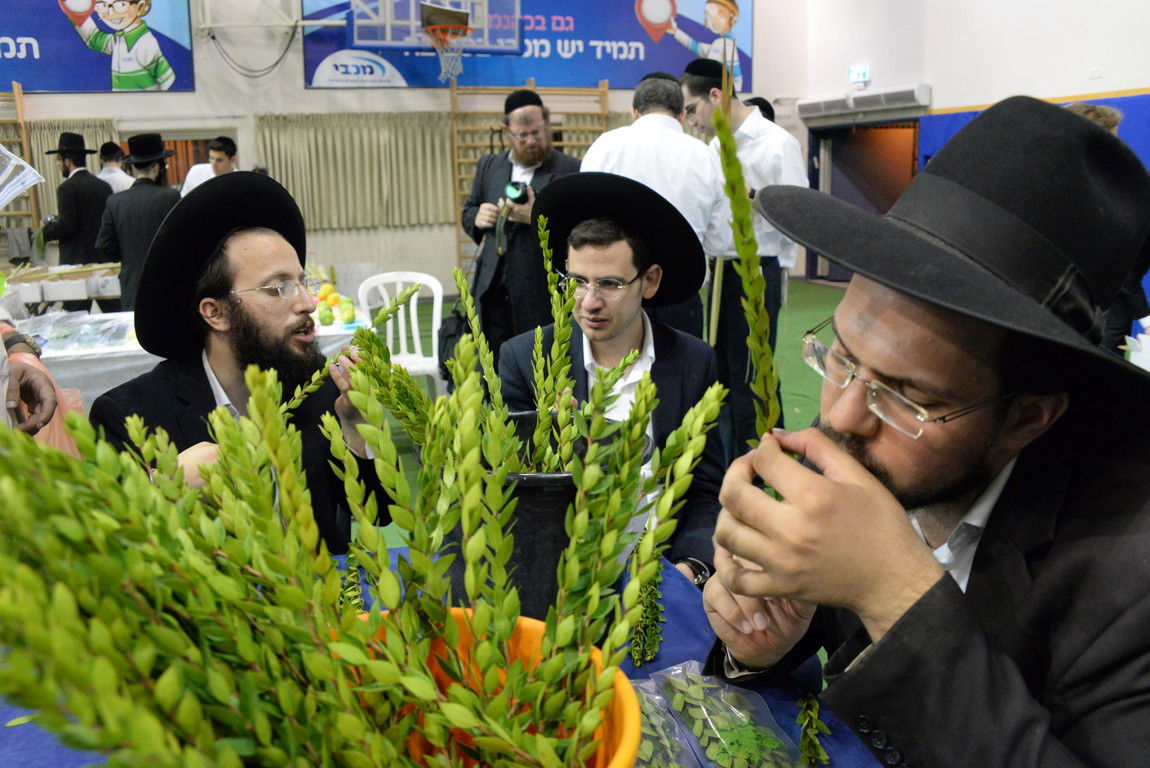 ערב חג הסוכות בעיר בני ברק • צפו בגלריה