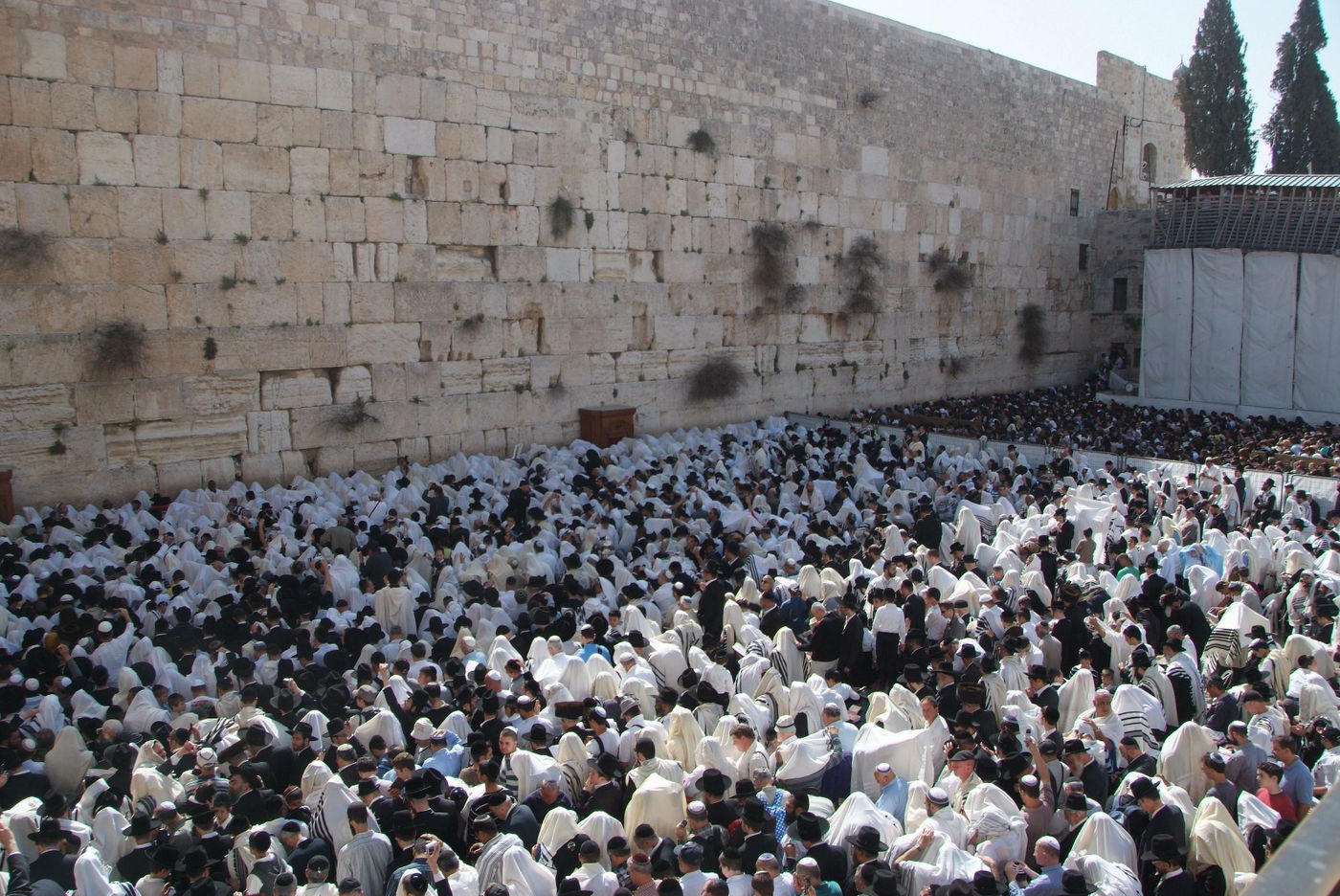 ברכת כהנים בכותל.