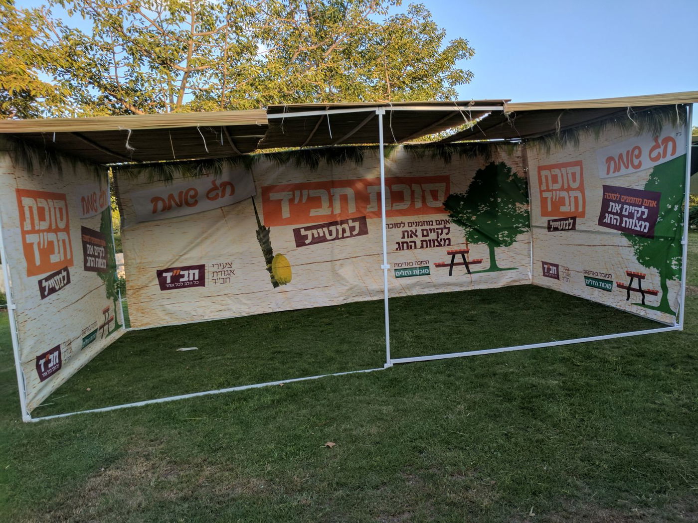 המיזם של חב"ד: "סוכות למטייל" • צפו