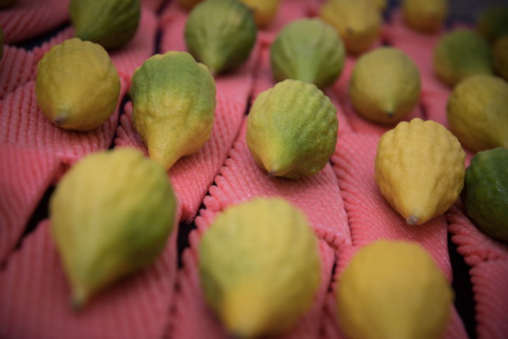 תחזית מזג האוויר: הגשם - בדרך