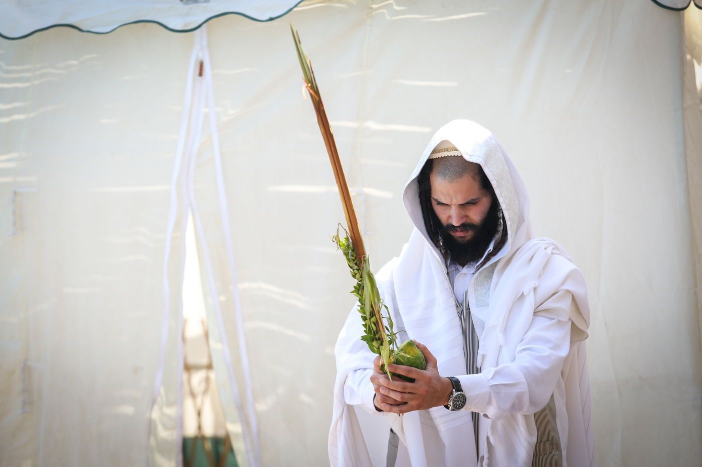 נטילת ארבעת המינים בציון הרשב"י במירון • צפו