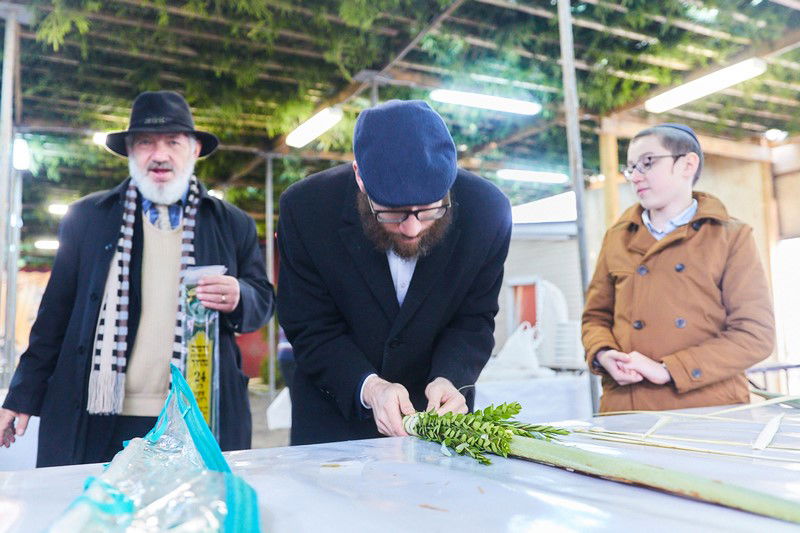 הסוכה הגדולה באירופה • תיעוד מיוחד