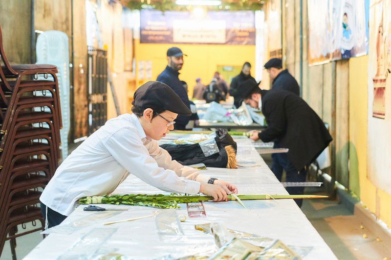 הסוכה הגדולה באירופה • תיעוד מיוחד