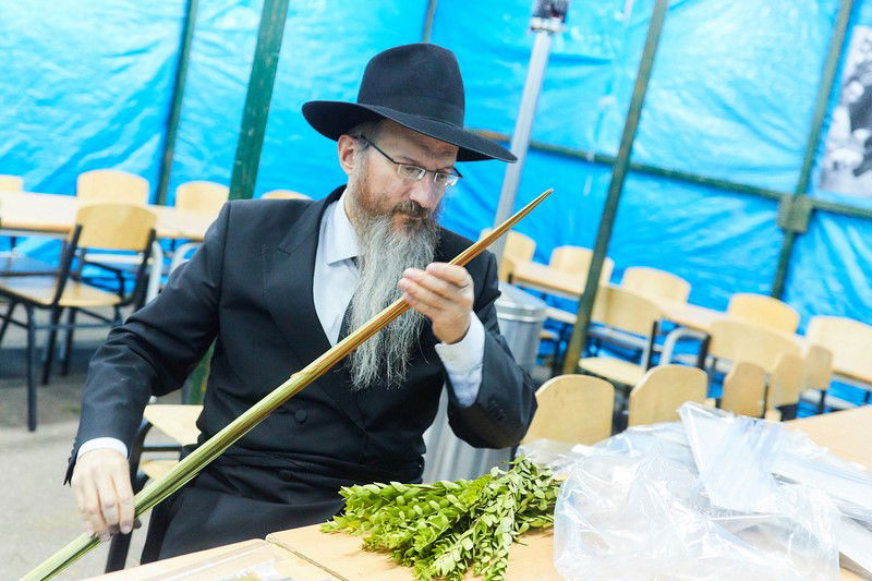 הסוכה הגדולה באירופה • תיעוד מיוחד