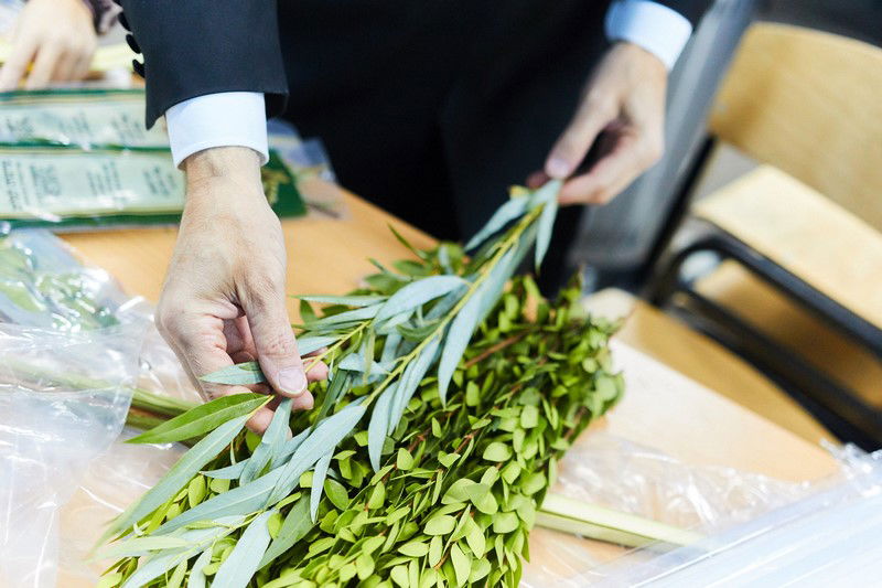 הסוכה הגדולה באירופה • תיעוד מיוחד