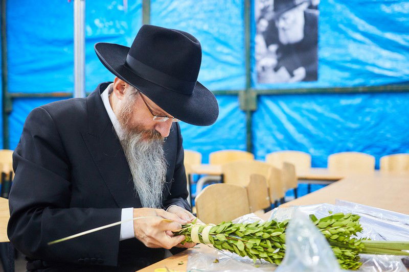 הסוכה הגדולה באירופה • תיעוד מיוחד