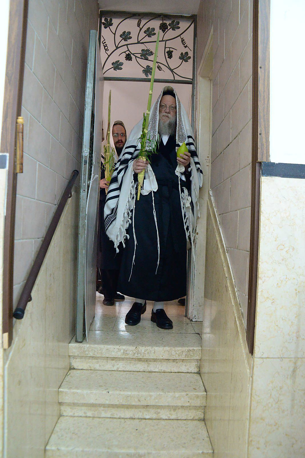 הרבי ממודז'יץ וגאב"ד חוג חתם סופר בנטילת לולב • צפו