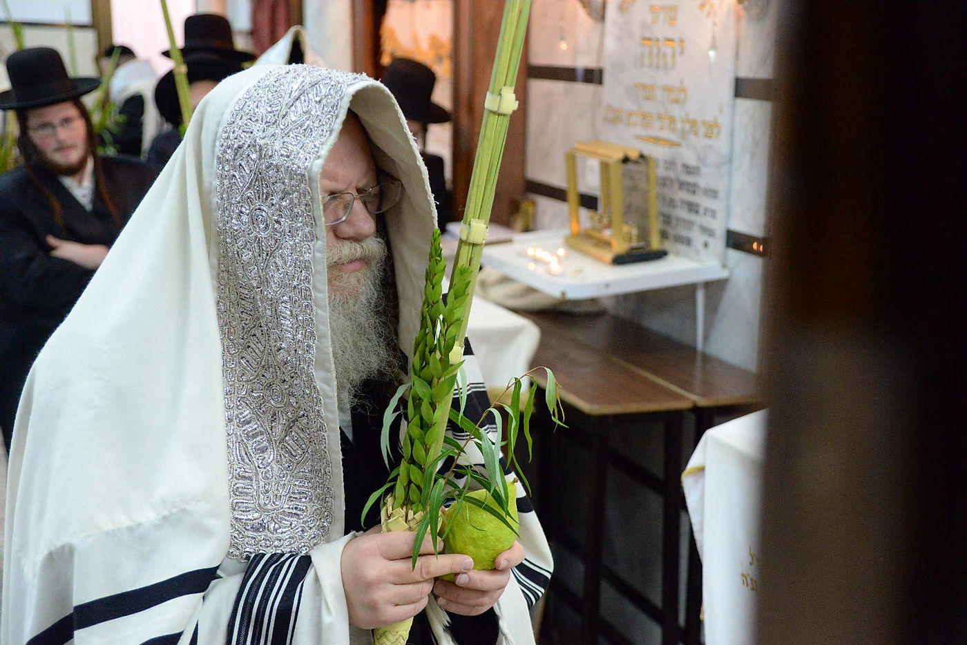 הרבי ממודז'יץ וגאב"ד חוג חתם סופר בנטילת לולב • צפו