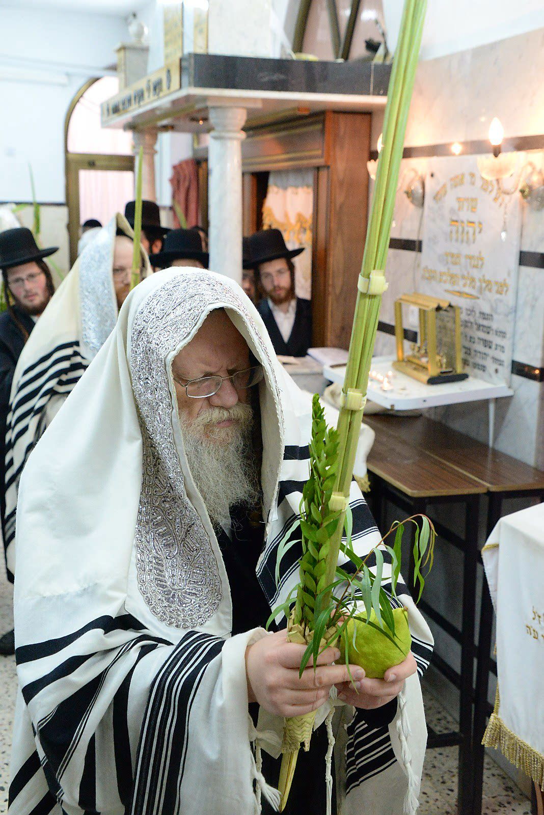 הרבי ממודז'יץ וגאב"ד חוג חתם סופר בנטילת לולב • צפו