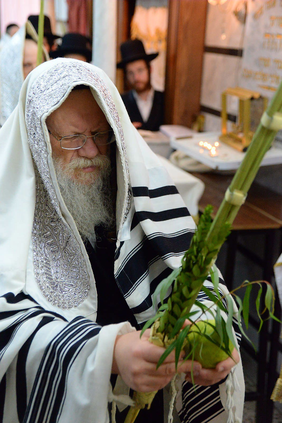 הרבי ממודז'יץ וגאב"ד חוג חתם סופר בנטילת לולב • צפו