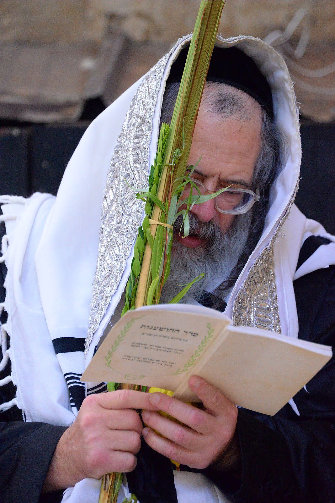 הרבי ממודז'יץ וגאב"ד חוג חתם סופר בנטילת לולב • צפו