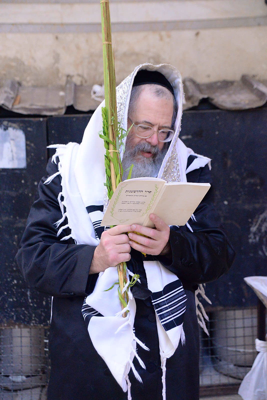 הרבי ממודז'יץ וגאב"ד חוג חתם סופר בנטילת לולב • צפו