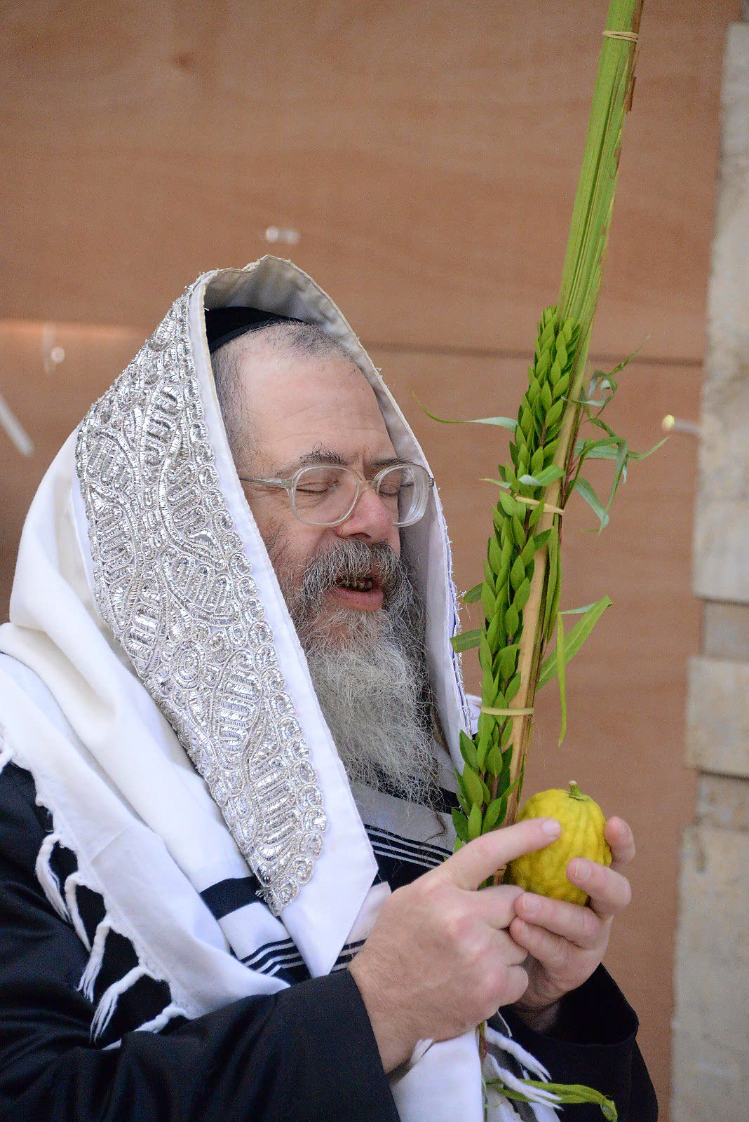 הרבי ממודז'יץ וגאב"ד חוג חתם סופר בנטילת לולב • צפו