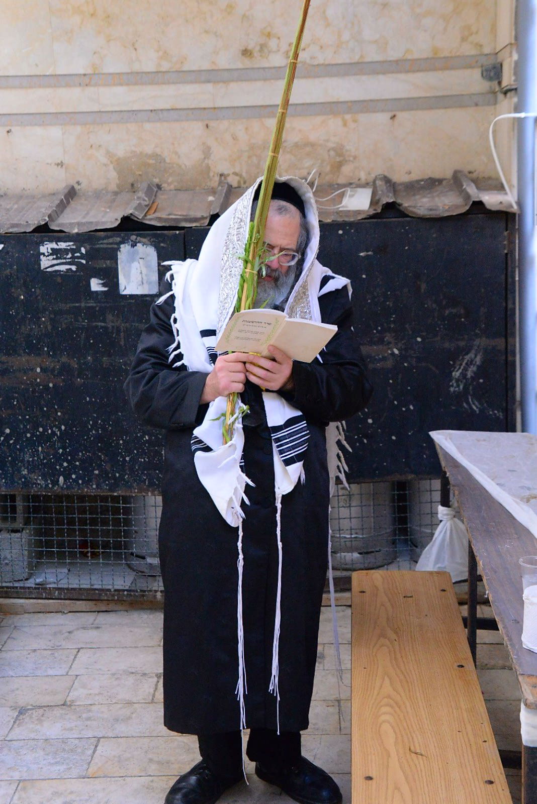 הרבי ממודז'יץ וגאב"ד חוג חתם סופר בנטילת לולב • צפו