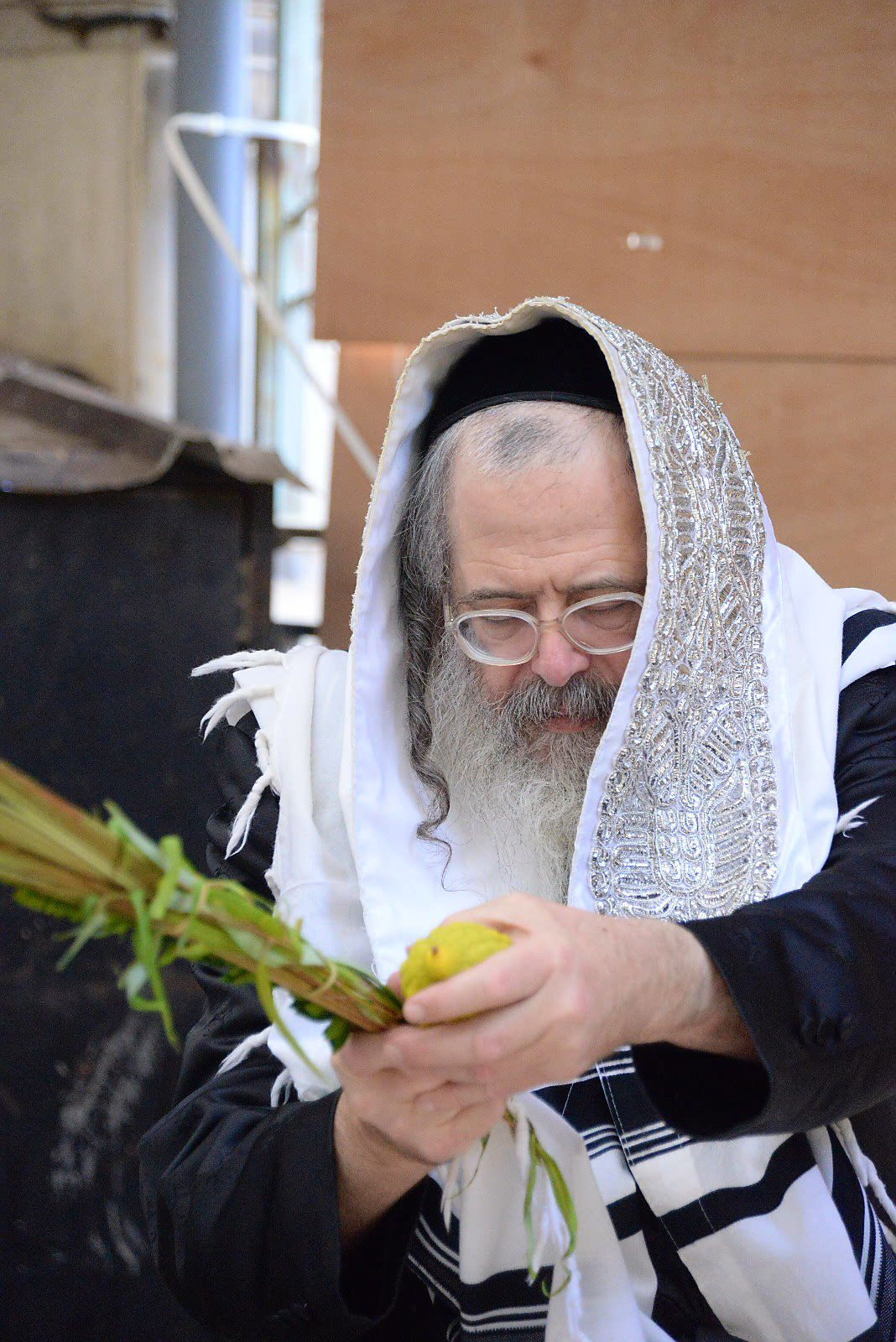 הרבי ממודז'יץ וגאב"ד חוג חתם סופר בנטילת לולב • צפו