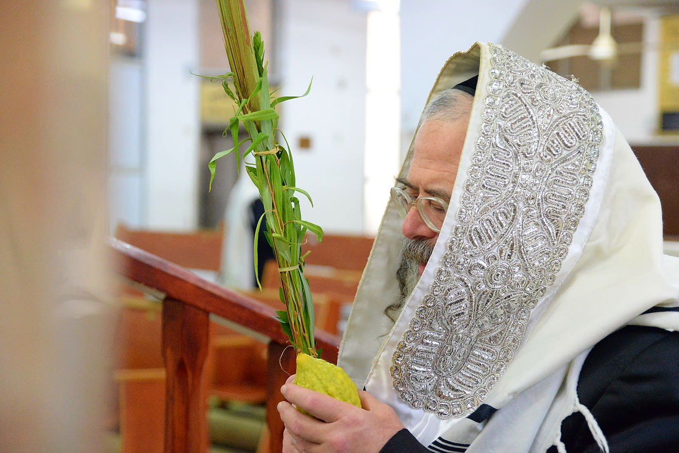 הרבי ממודז'יץ וגאב"ד חוג חתם סופר בנטילת לולב • צפו