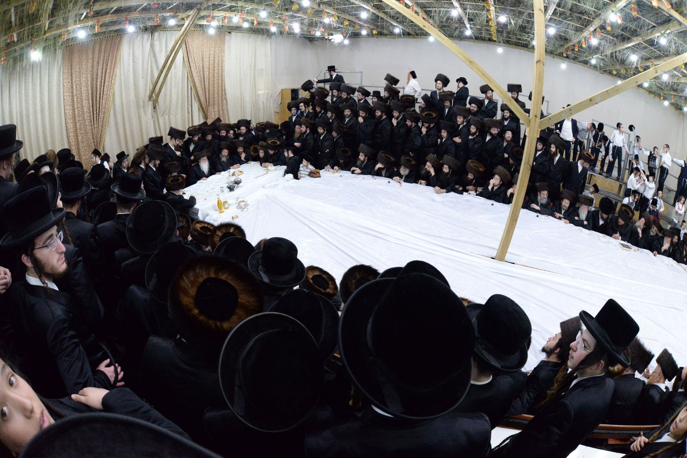 טיש אושפיזין דיוסף במכנובקא בעלזא • צפו