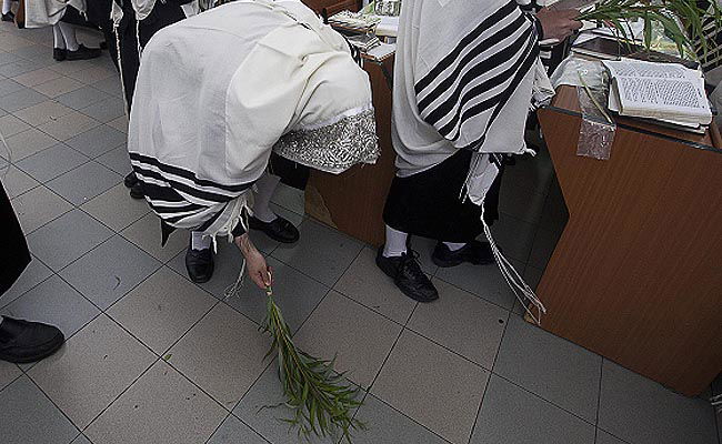 ג'רי, הערבה שלי // שמעון ברייטקופף