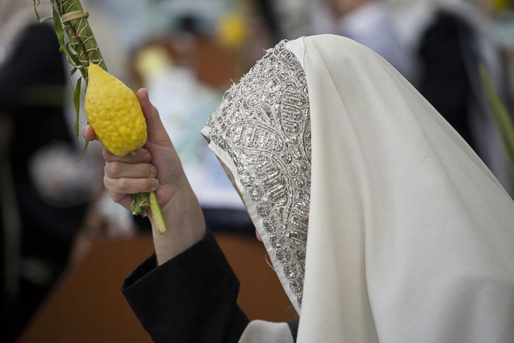 ג'רי, הערבה שלי // שמעון ברייטקופף
