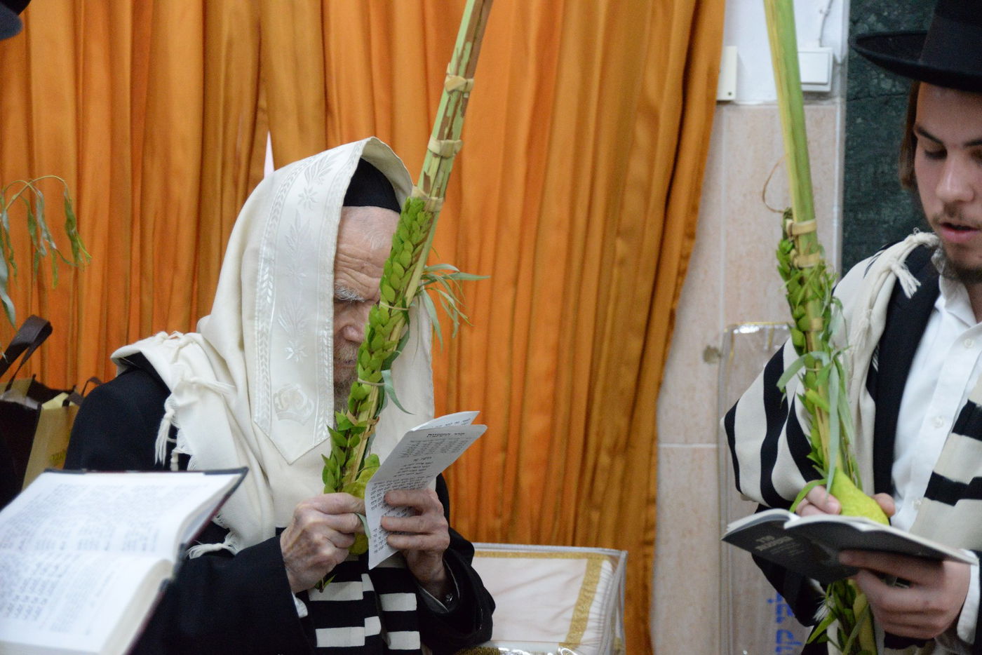 ראשי ישיבת פוניבז' בנטילת לולב • גלריה