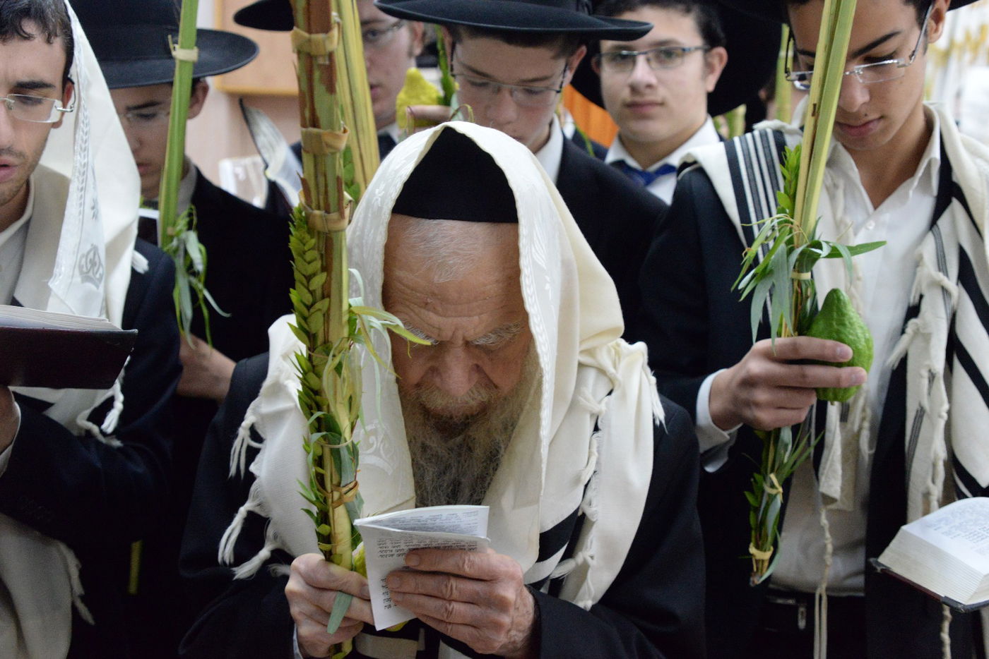 ראשי ישיבת פוניבז' בנטילת לולב • גלריה