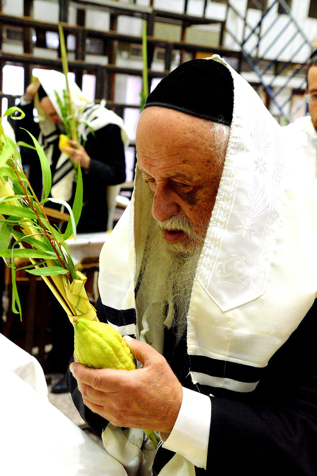 ראשי ישיבת פוניבז' בנטילת לולב • גלריה