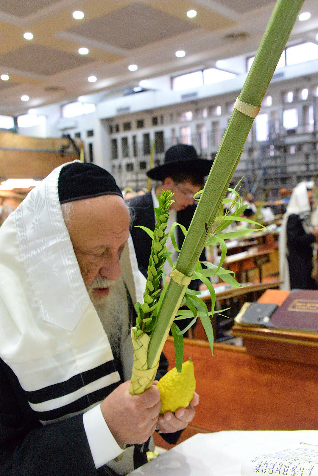 ראשי ישיבת פוניבז' בנטילת לולב • גלריה