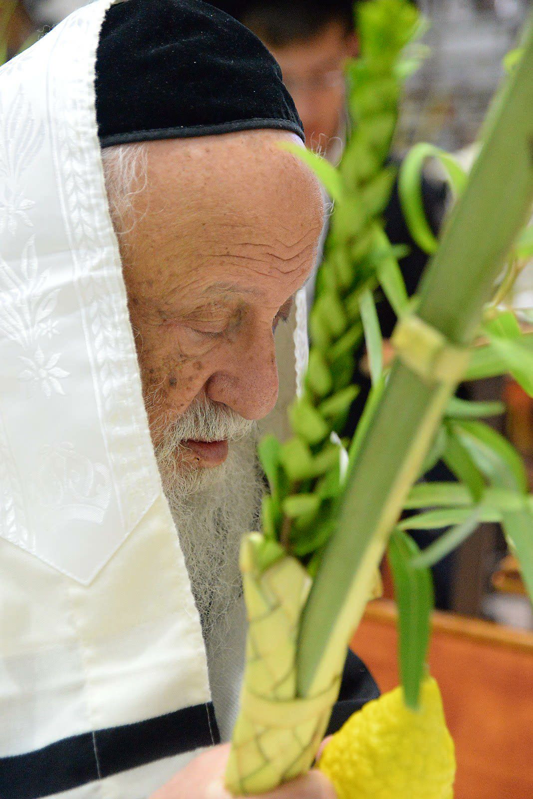 ראשי ישיבת פוניבז' בנטילת לולב • גלריה