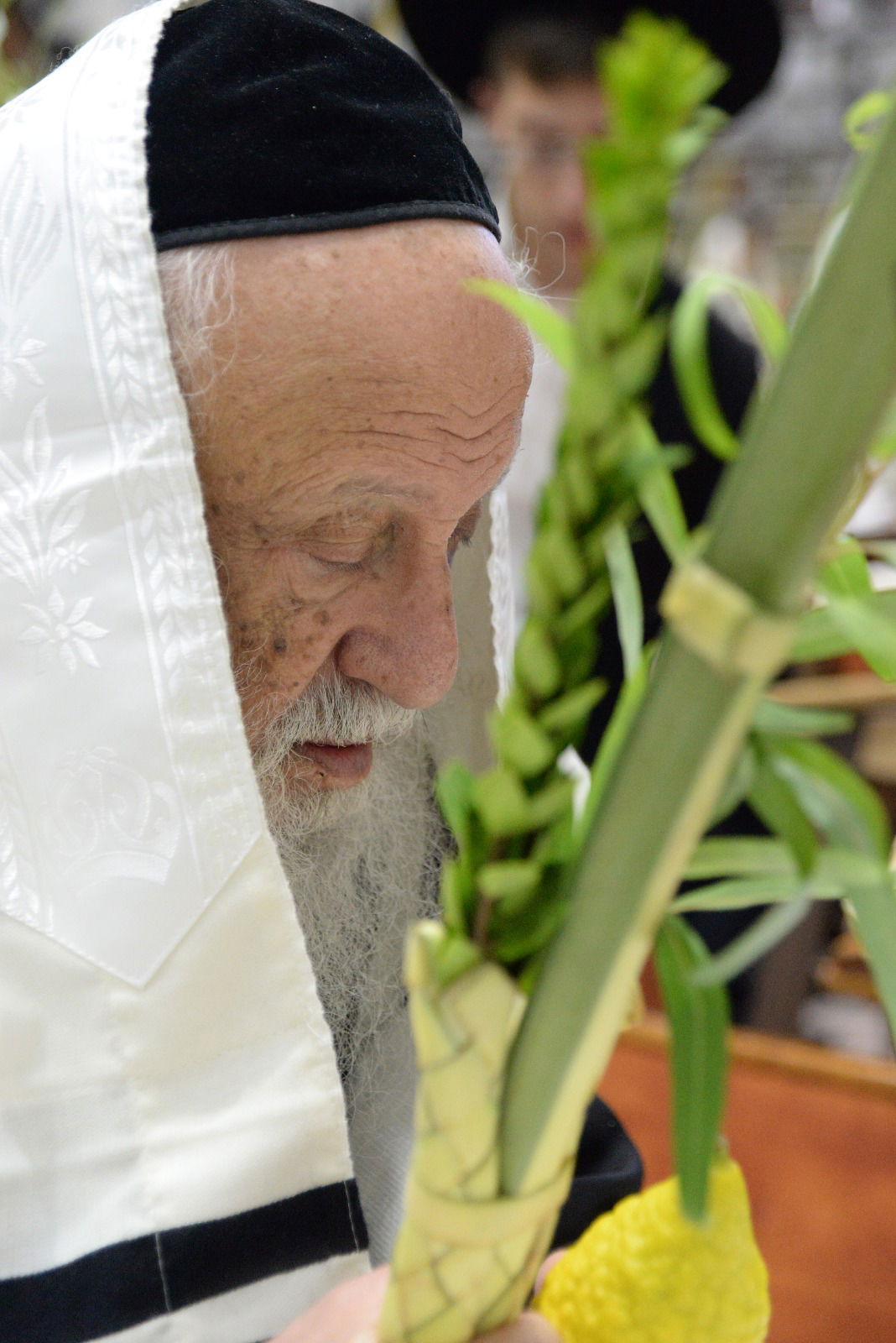 ראשי ישיבת פוניבז' בנטילת לולב • גלריה