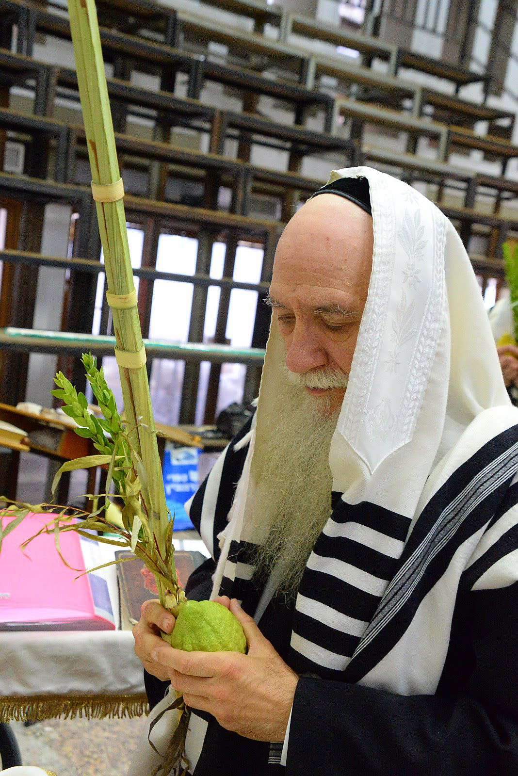 ראשי ישיבת פוניבז' בנטילת לולב • גלריה