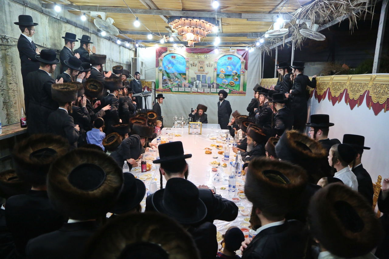 מלעלוב ועד תולדות אהרן • תיעוד מיוחד