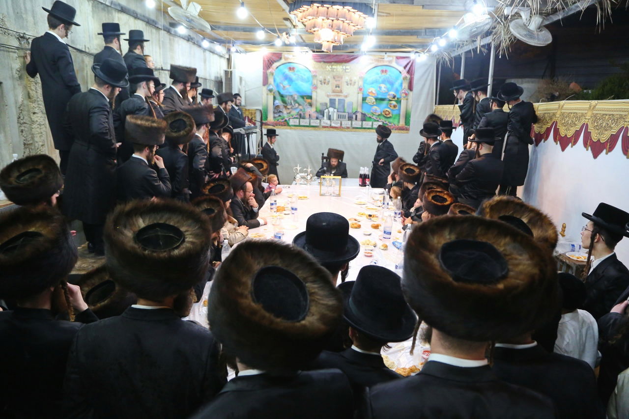 מלעלוב ועד תולדות אהרן • תיעוד מיוחד