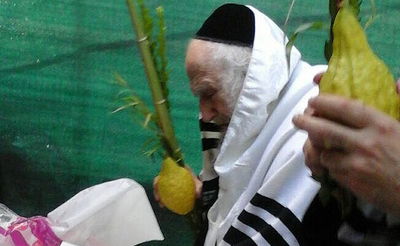 הגר"ש אוירבך בנטילת לולב ובהלל • צפו