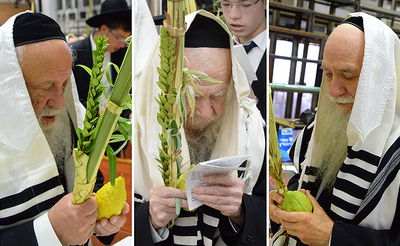 ראשי ישיבת פוניבז' בנטילת לולב • גלריה