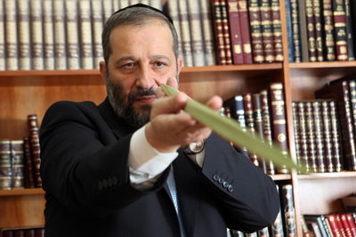 דרעי והלולב. ארכיון