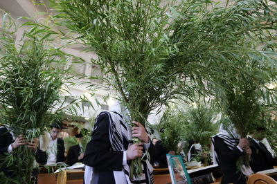 אילוסטרציה