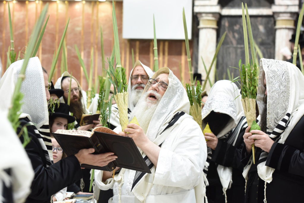 תיעוד מקיף: חג הסוכות בחצר הקודש צאנז