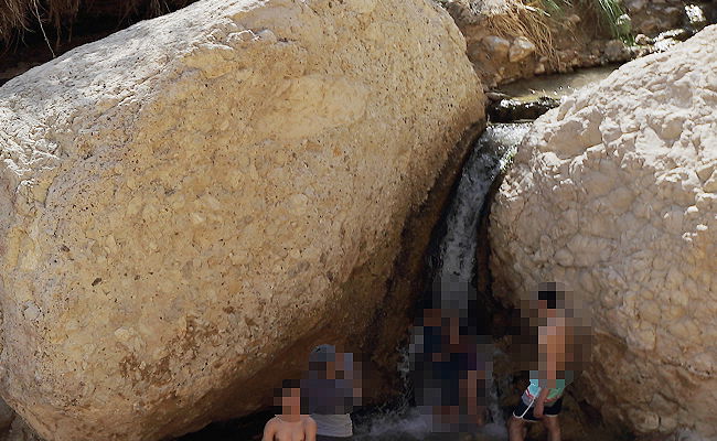 נחל דוד. אילוסטרציה