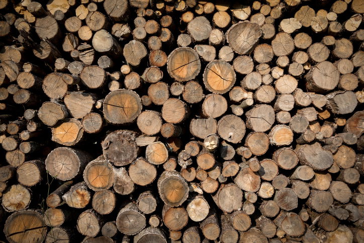 טיול לסלובניה היפיפייה דרך עדשת המצלמה