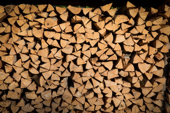 טיול לסלובניה היפיפייה דרך עדשת המצלמה