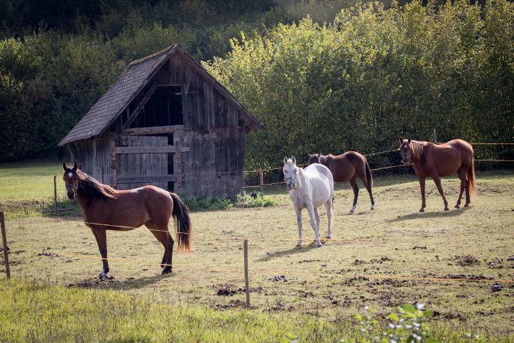 טיול לסלובניה היפיפייה דרך עדשת המצלמה