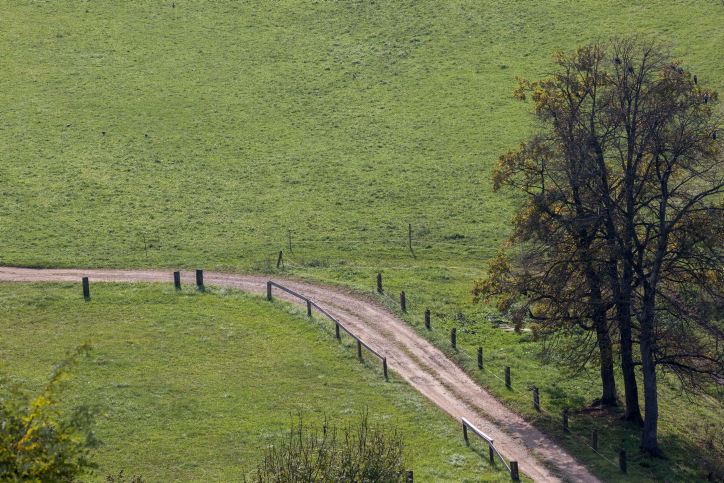 טיול לסלובניה היפיפייה דרך עדשת המצלמה