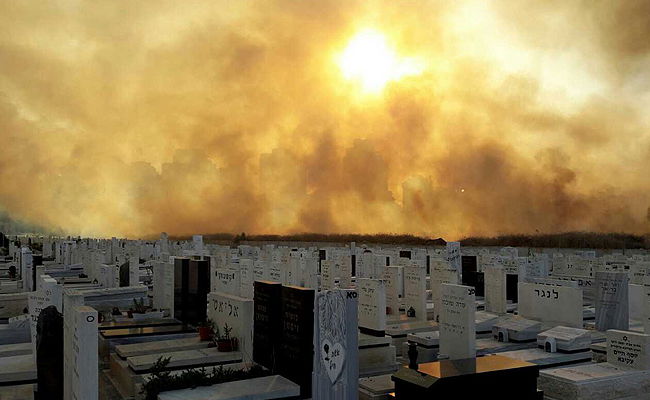 המראה המרטיט שריגש את מתנדבי ההצלה