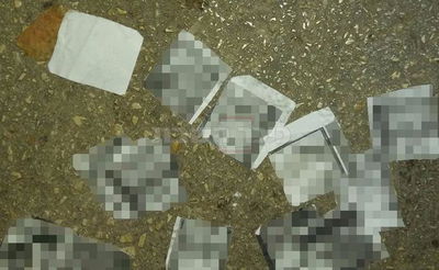 התמונות שפוזרו בהפגנה