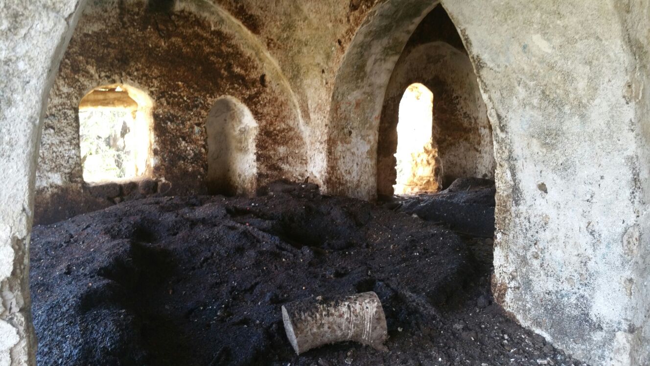 ניסו לשדוד עתיקות בדרום ונתפסו "על חם"