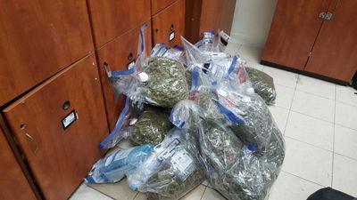 חלק משקי הסמים